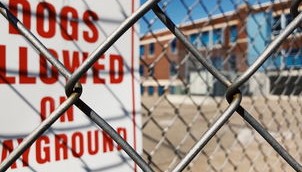 开云体育地址-青少年安全教育模式，青少年安全教育模式是什么