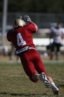 开云官方-五大联赛争四阶段关键球员贡献值差异对比，五大联赛引援